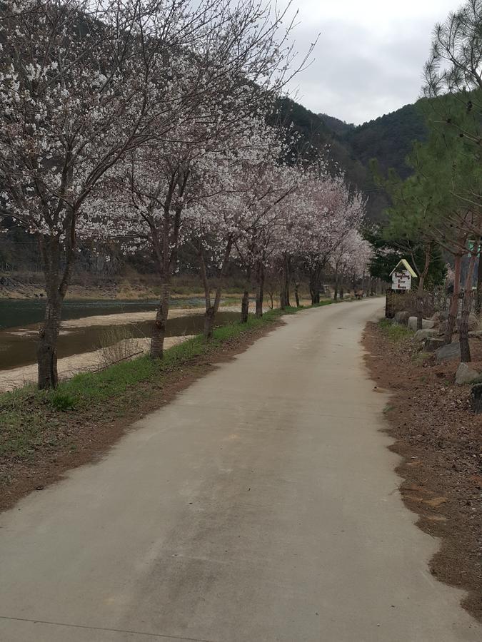 Pyeongchang River House Exterior foto